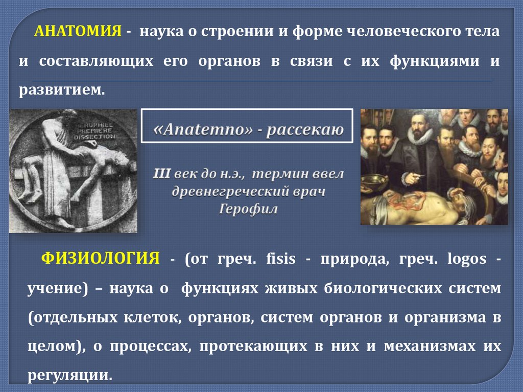«Аnatemno» - рассекаю III век до н.э., термин ввел древнегреческий врач Герофил