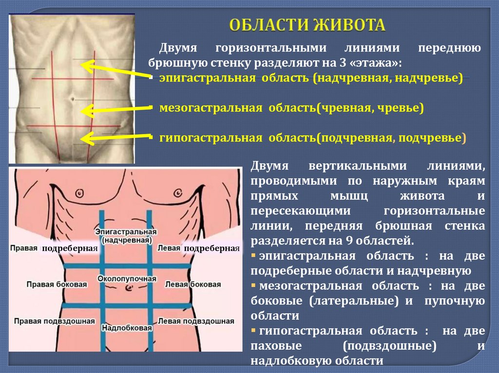 ОБЛАСТИ ЖИВОТА