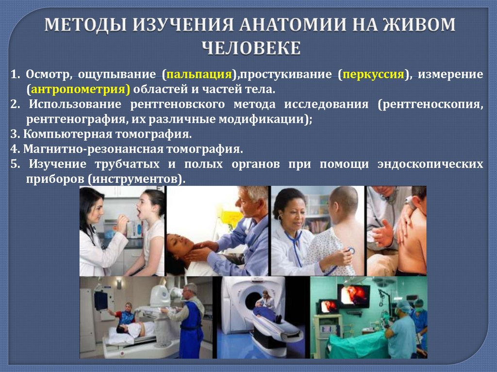 МЕТОДЫ ИЗУЧЕНИЯ АНАТОМИИ НА ЖИВОМ ЧЕЛОВЕКЕ