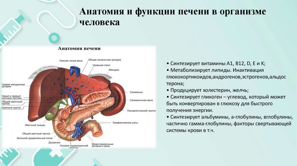 Понимание и актуальность проблемы
