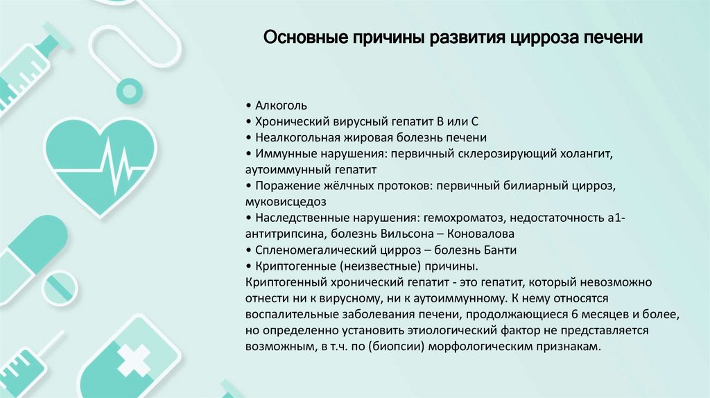 Анатомия и функции печени в организме человека