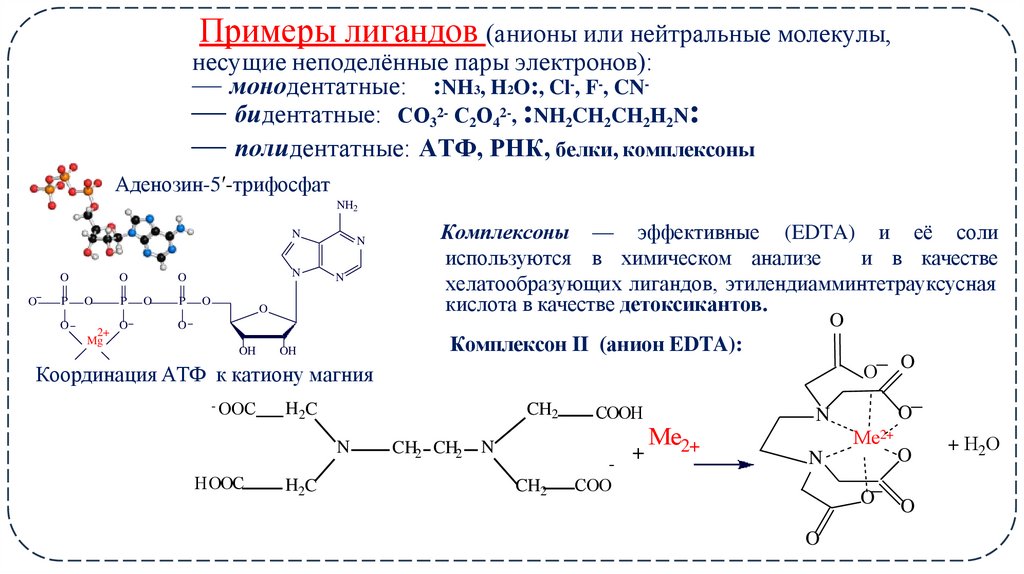Примеры лигандов (анионы или нейтральные молекулы, несущие неподелённые пары электронов):