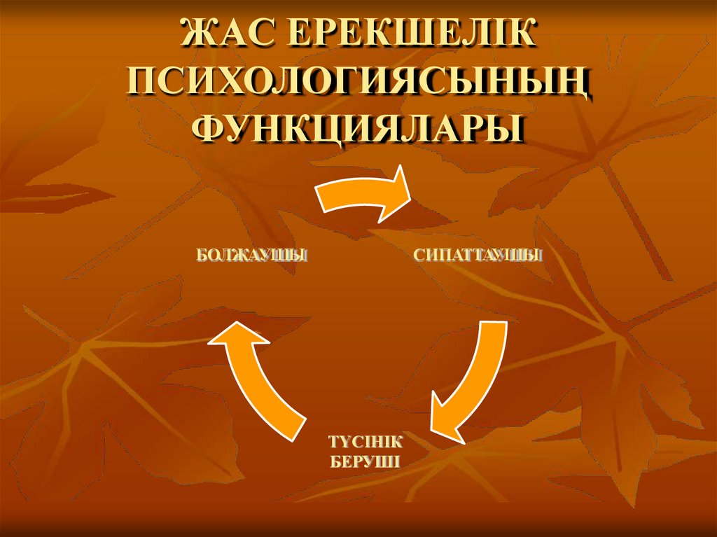 ЖАС ЕРЕКШЕЛІК