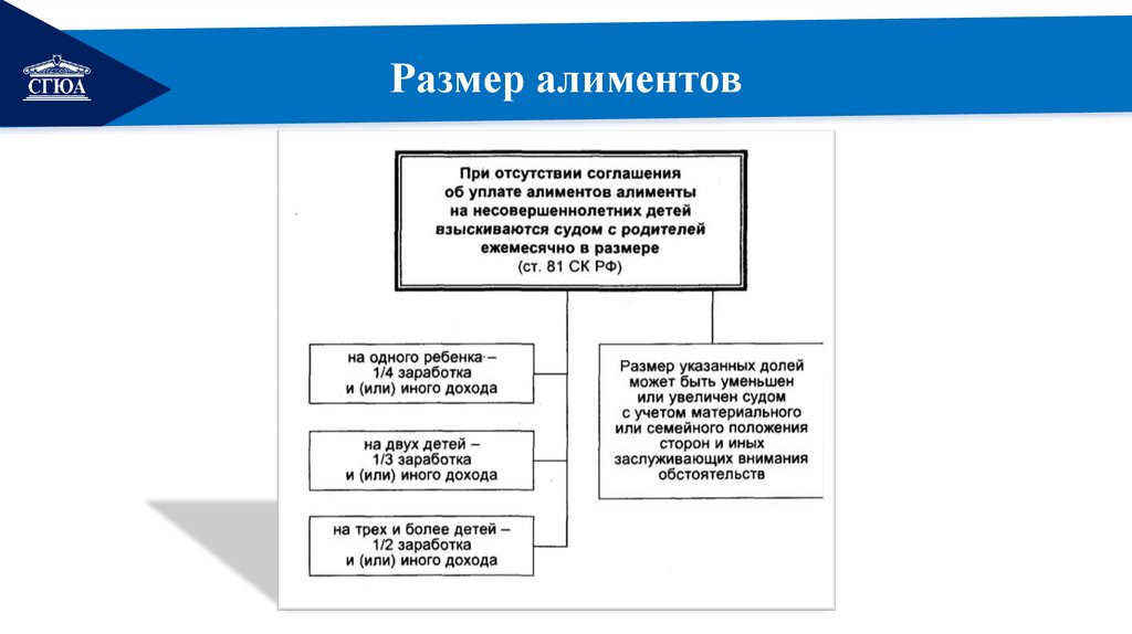 Размер алиментов