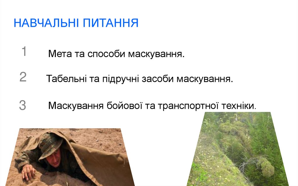 НАВЧАЛЬНІ ПИТАННЯ