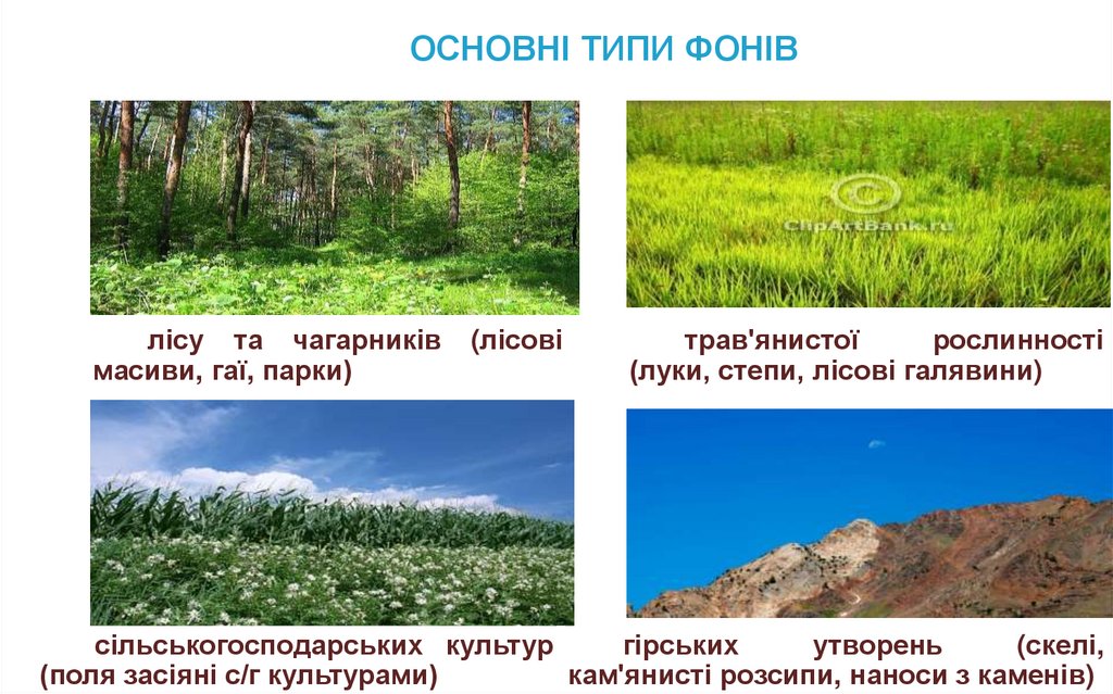 ОСНОВНІ ТИПИ ФОНІВ