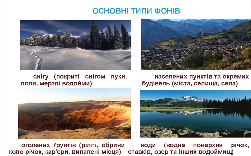 ОСНОВНІ ТИПИ ФОНІВ