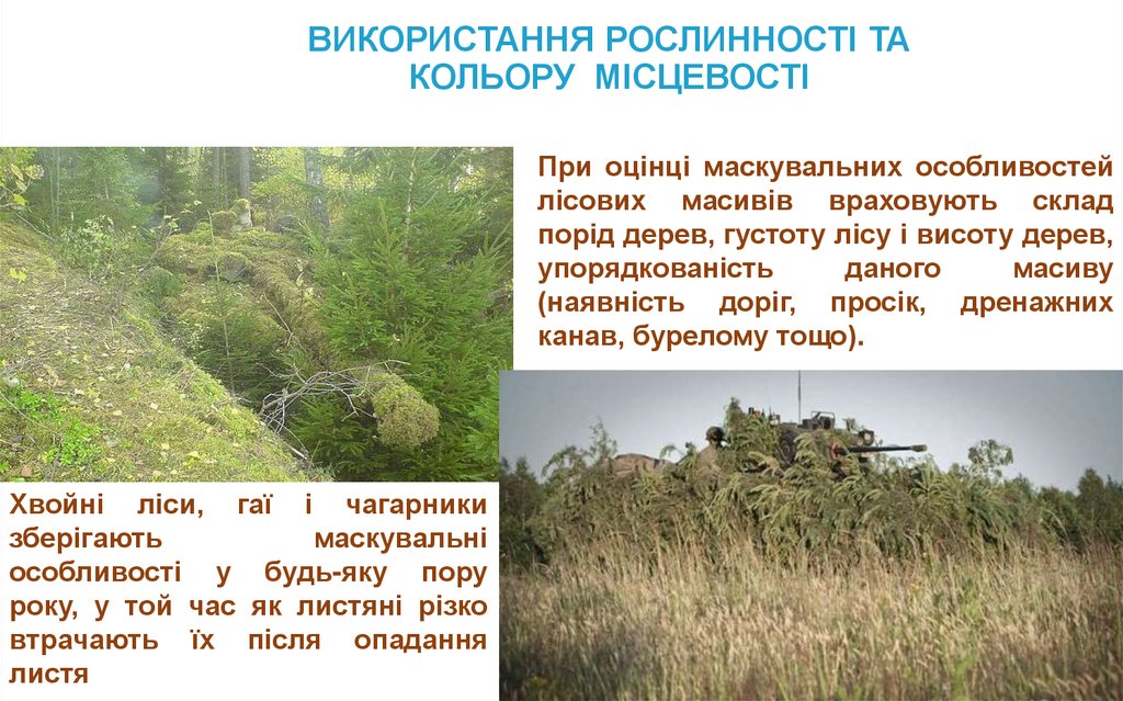 ВИКОРИСТАННЯ РОСЛИННОСТІ ТА КОЛЬОРУ МІСЦЕВОСТІ