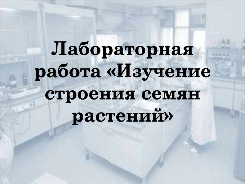 Лабораторная работа «Изучение строения семян растений»