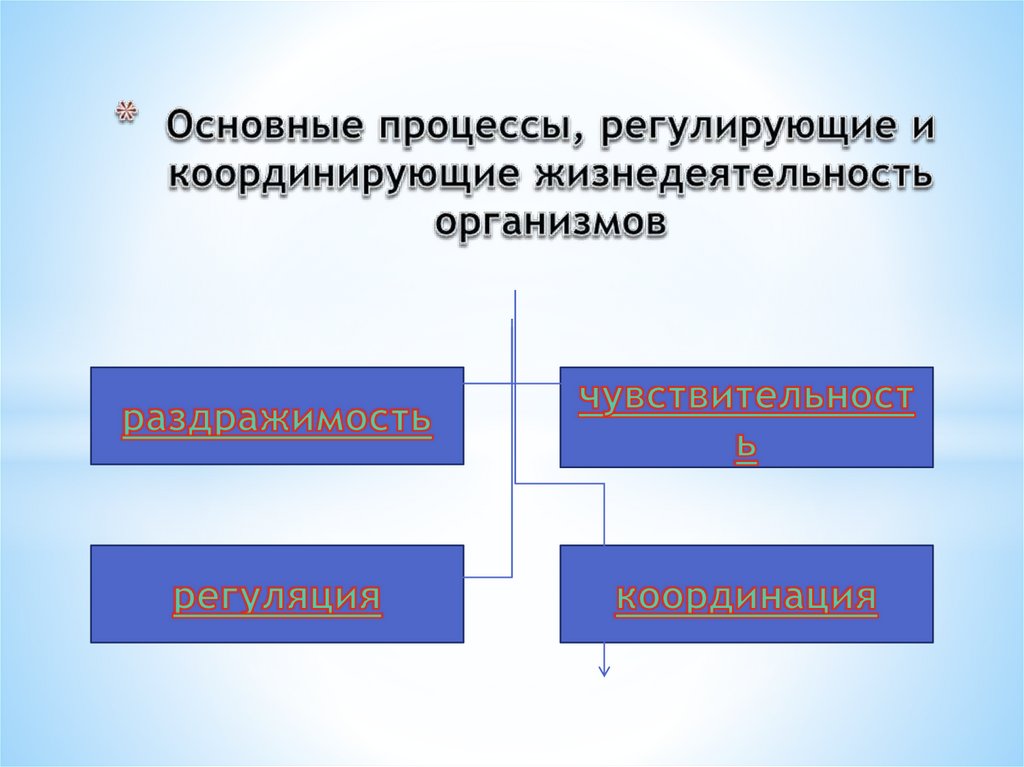 Основные процессы, регулирующие и координирующие жизнедеятельность организмов