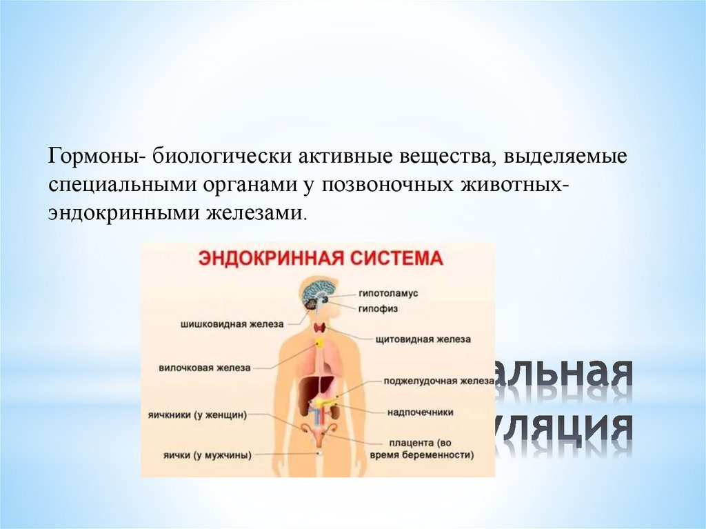 Гуморальная регуляция