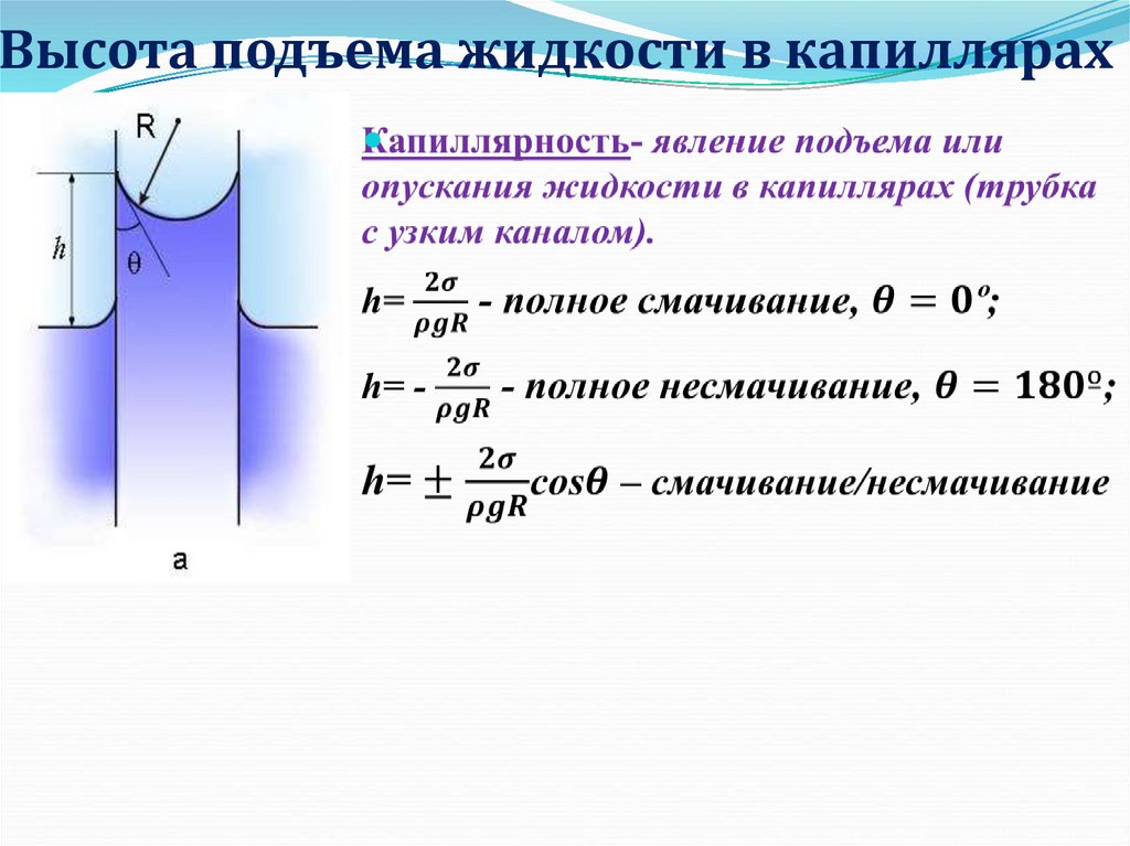 Высота подъема жидкости в капиллярах