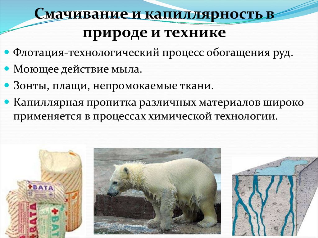 Смачивание и капиллярность в природе и технике