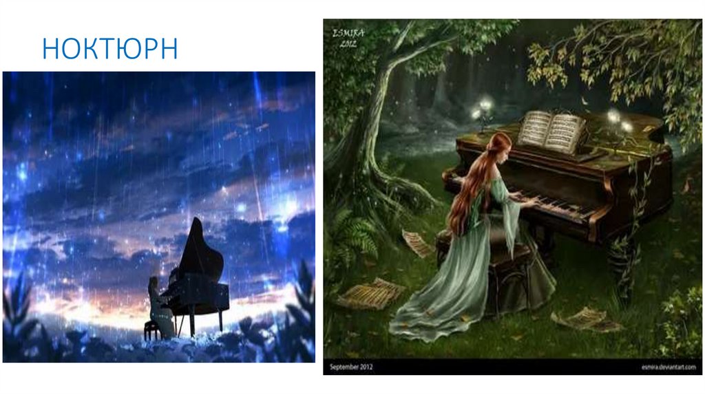 НОКТЮРН