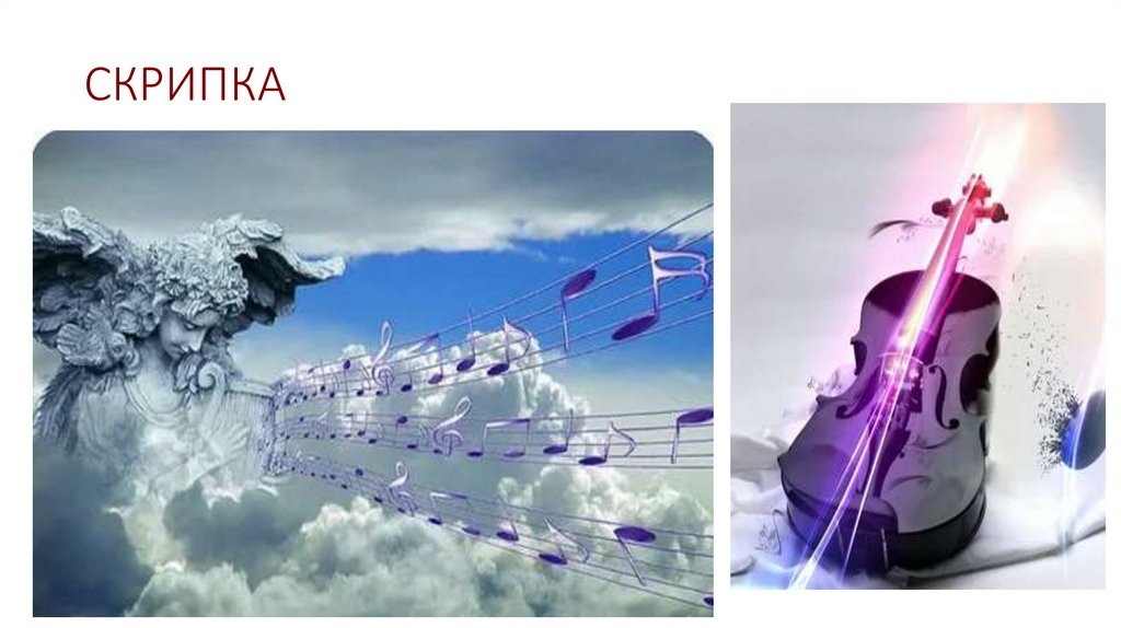 СКРИПКА