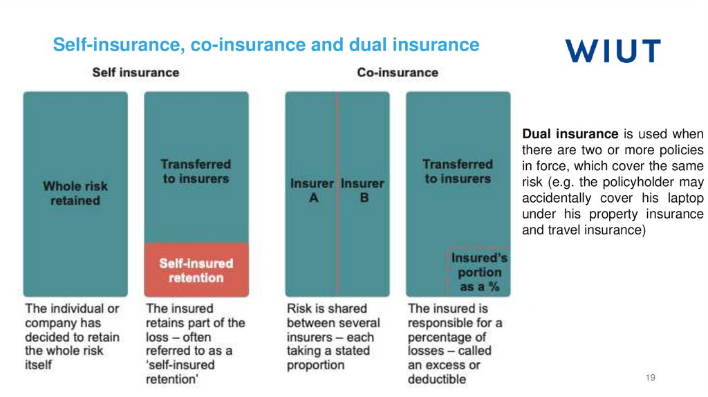Self-insurance, co-insurance and dual insurance
