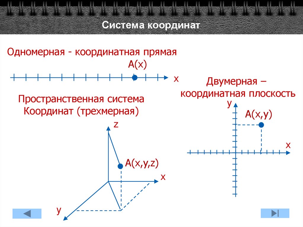 Система координат