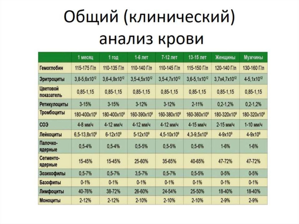 Общий (клинический) анализ крови