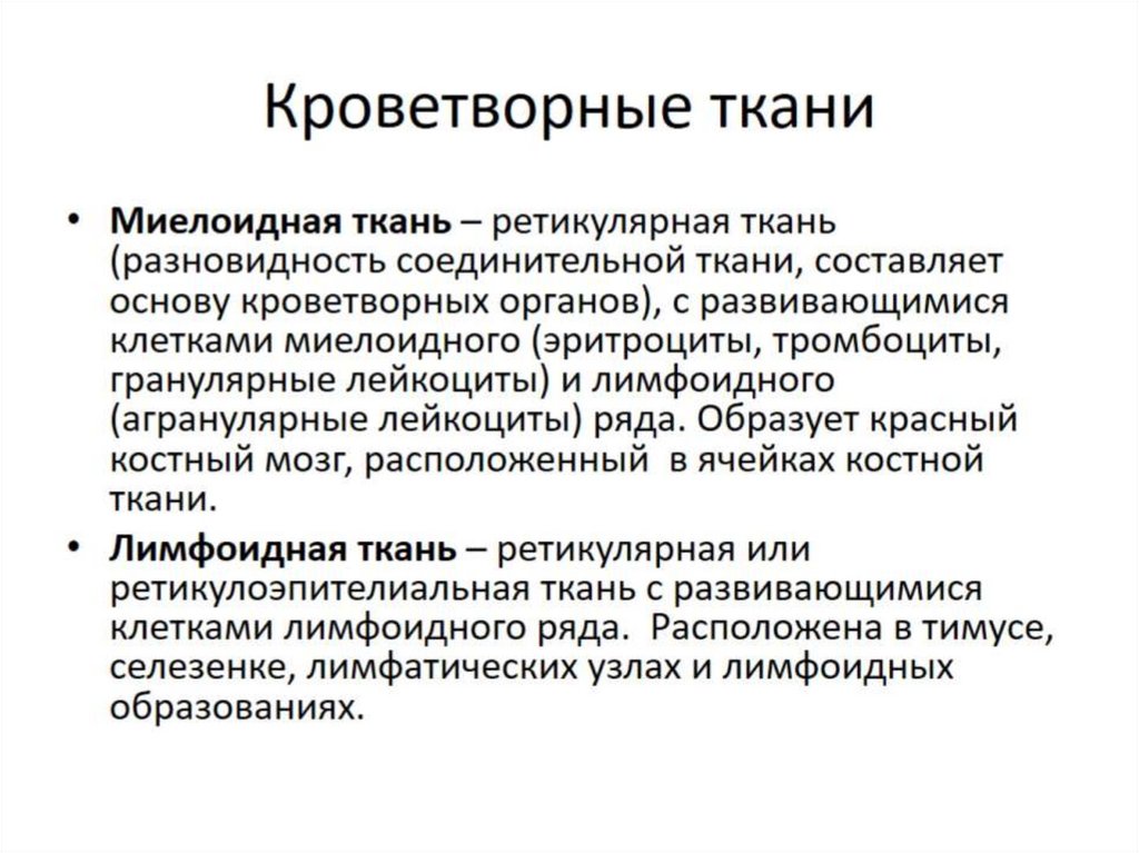 Кроветворные ткани