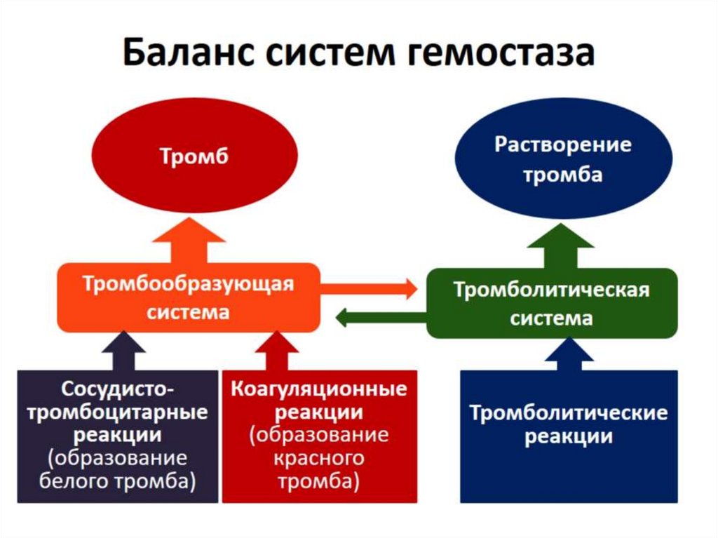 Баланс систем гемостаза