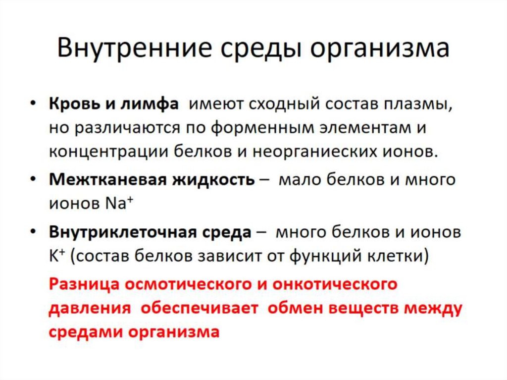 Внутренние среды организма