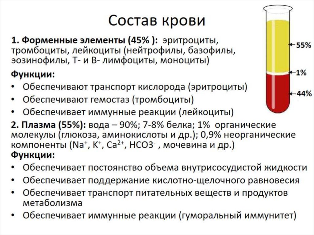 Состав крови