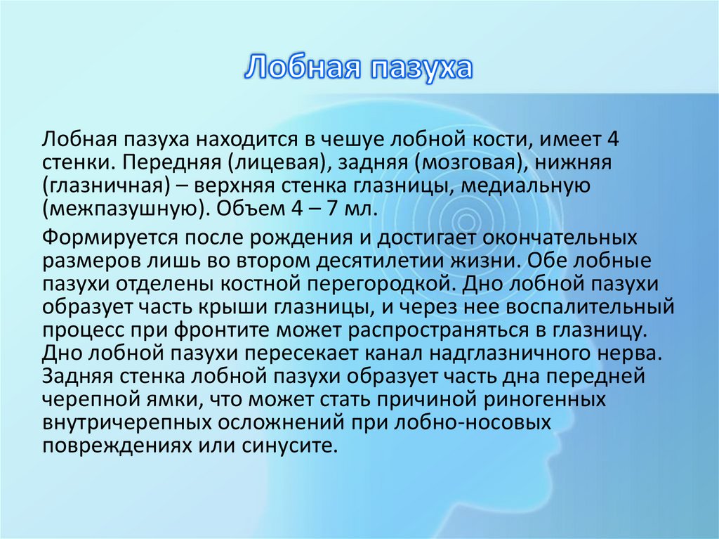 Лобная пазуха