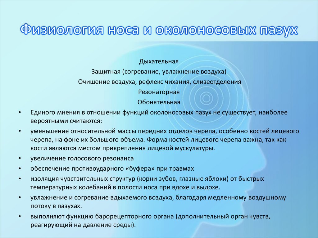 Физиология носа и околоносовых пазух