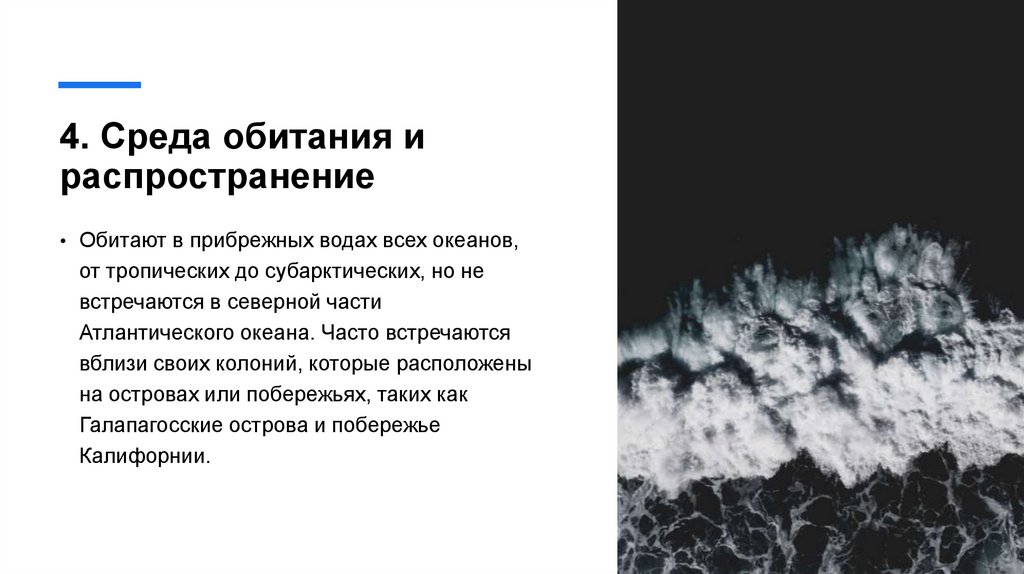 4. Среда обитания и распространение