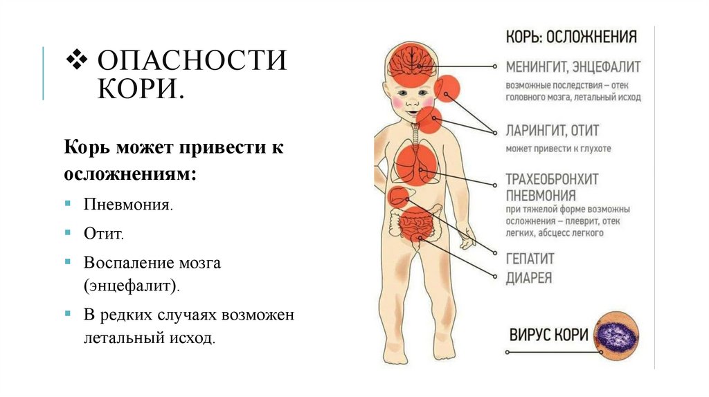 Опасности кори.