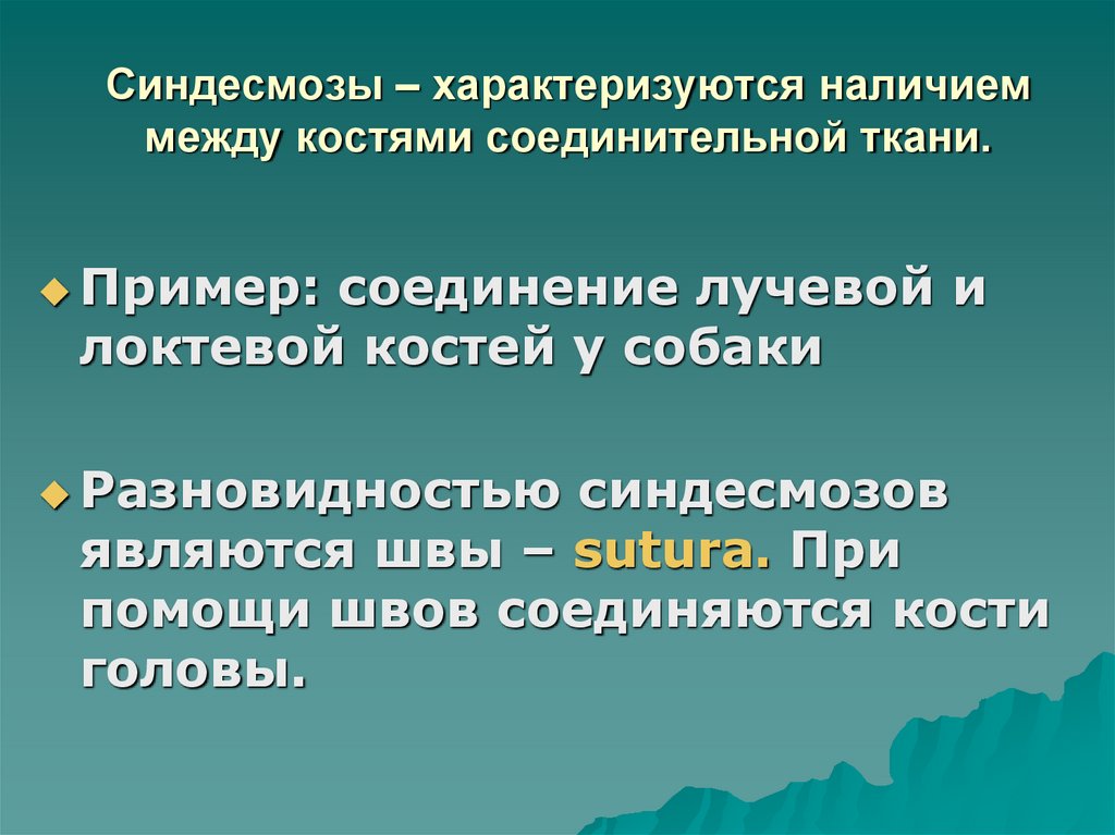 Синдесмозы – характеризуются наличием между костями соединительной ткани.