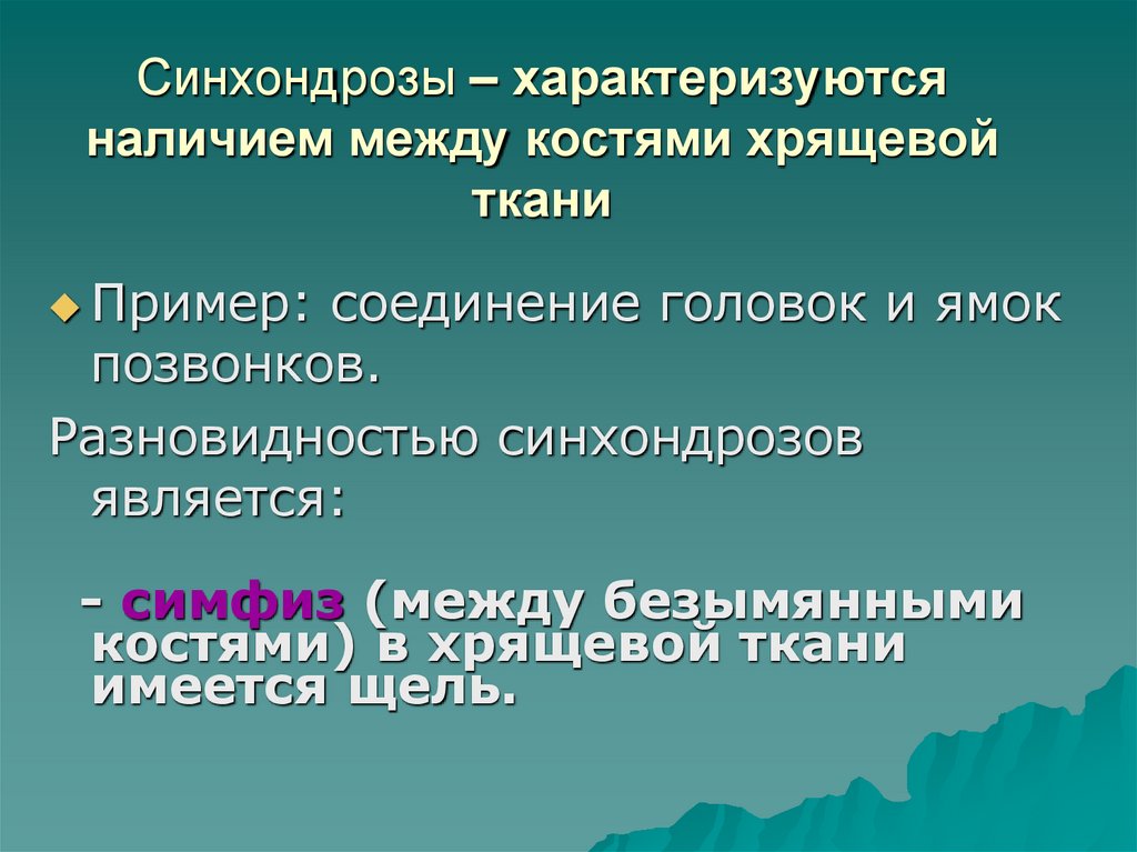 Синхондрозы – характеризуются наличием между костями хрящевой ткани