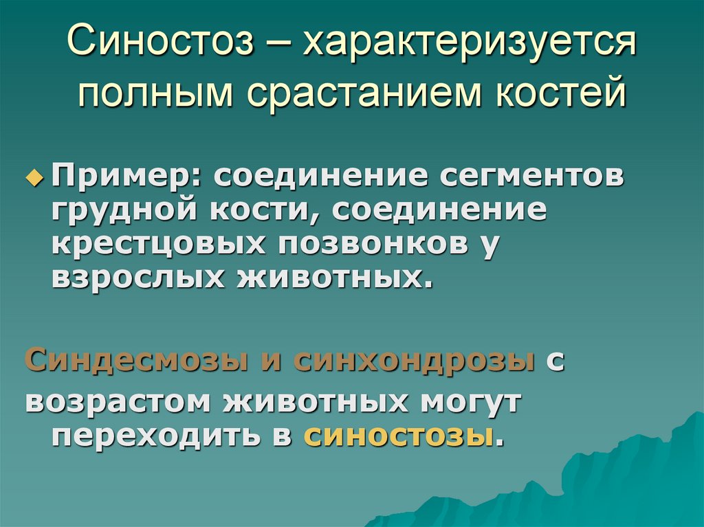 Синостоз – характеризуется полным срастанием костей
