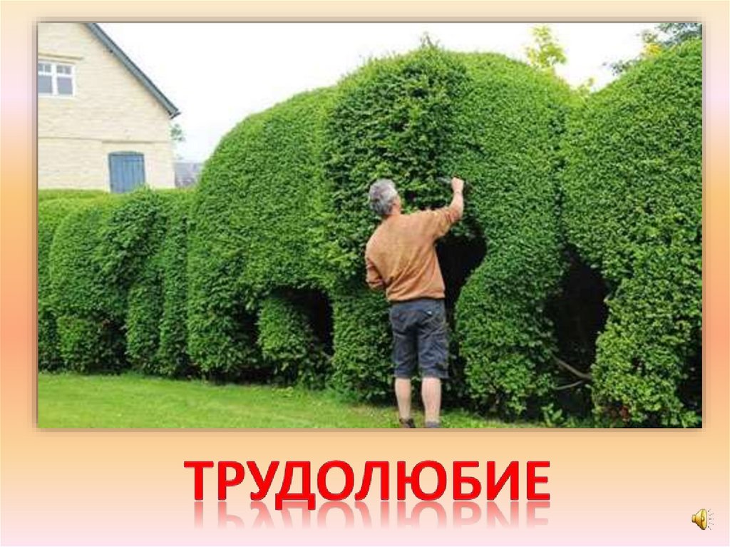 трудолюбие