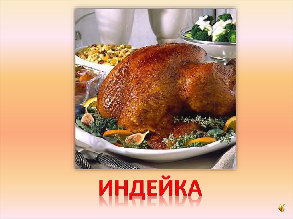 индейка
