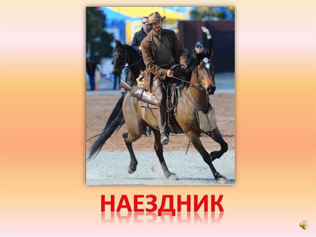наездник