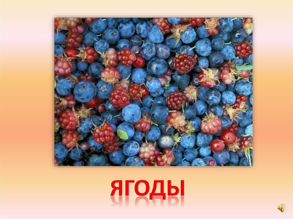 ягоды