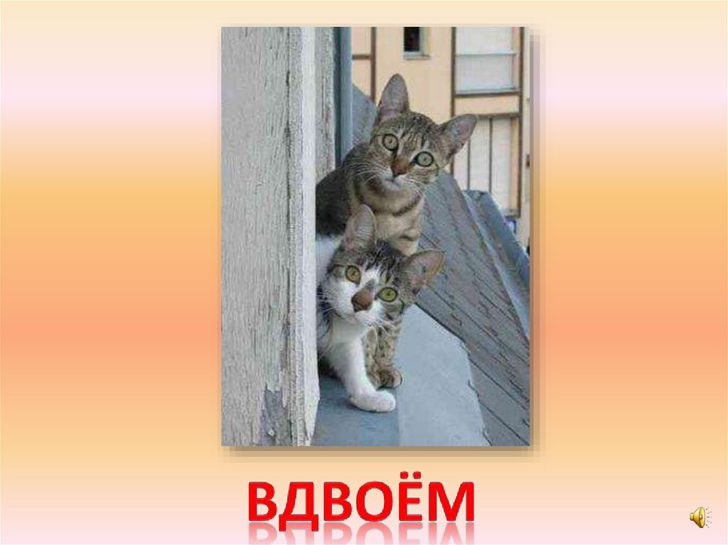 вдвоём