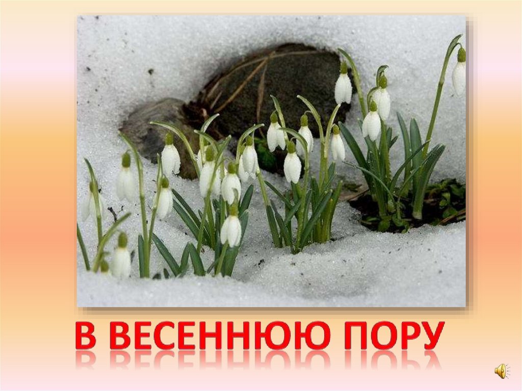 В Весеннюю пору