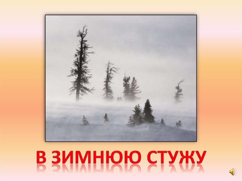 В зимнюю стужу