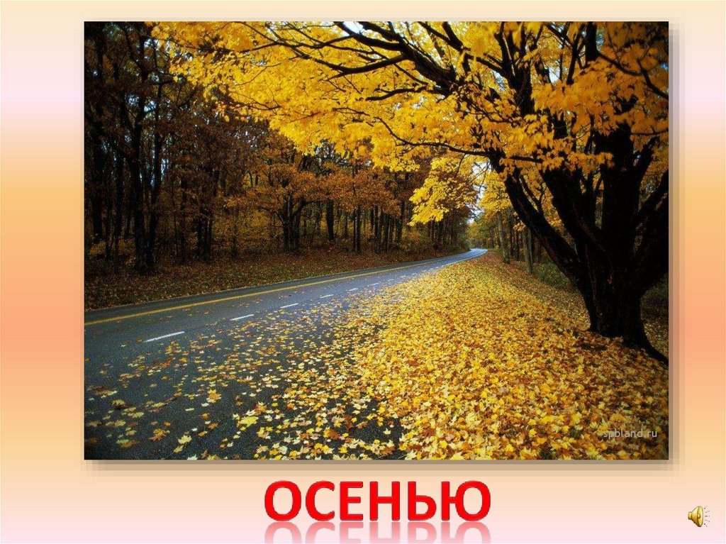 осенью