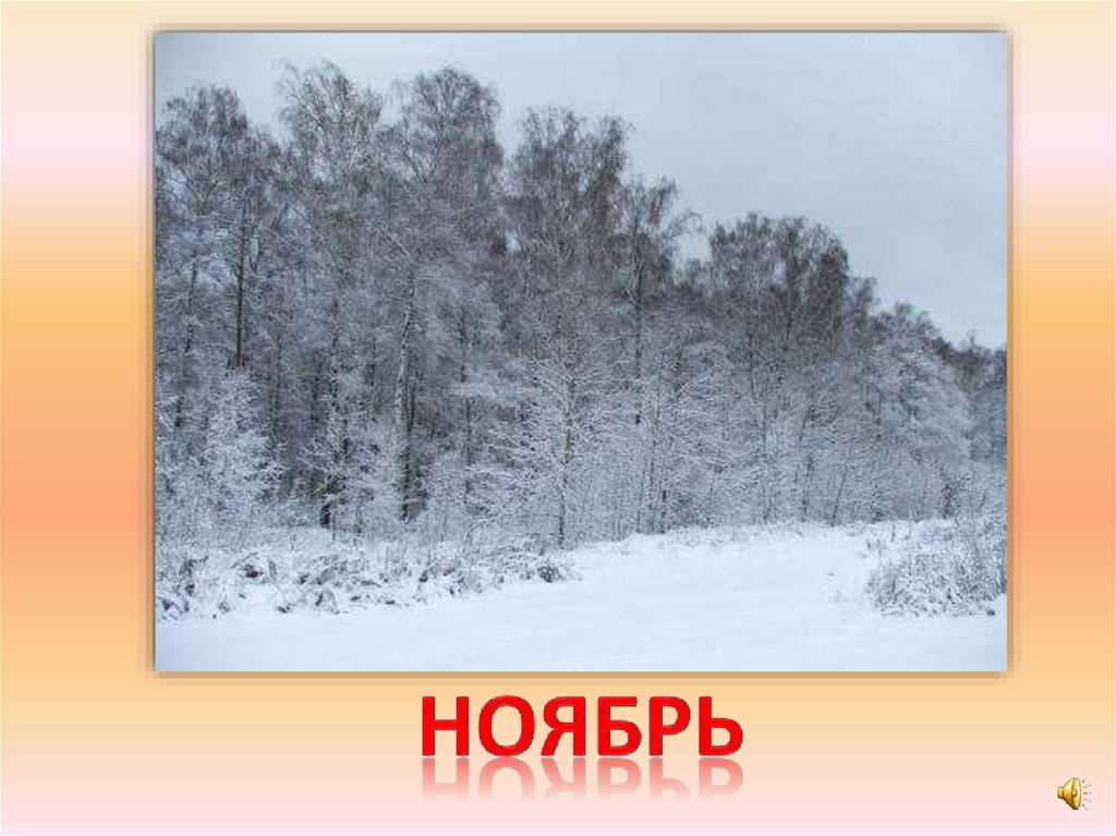 ноябрь