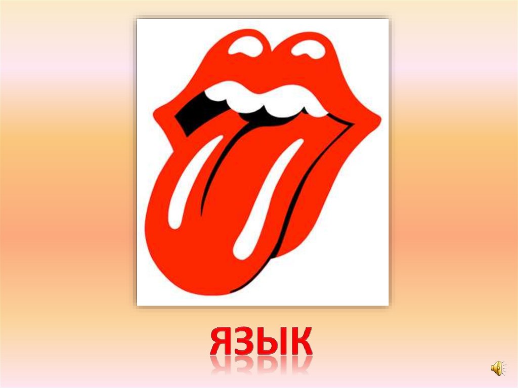 язык