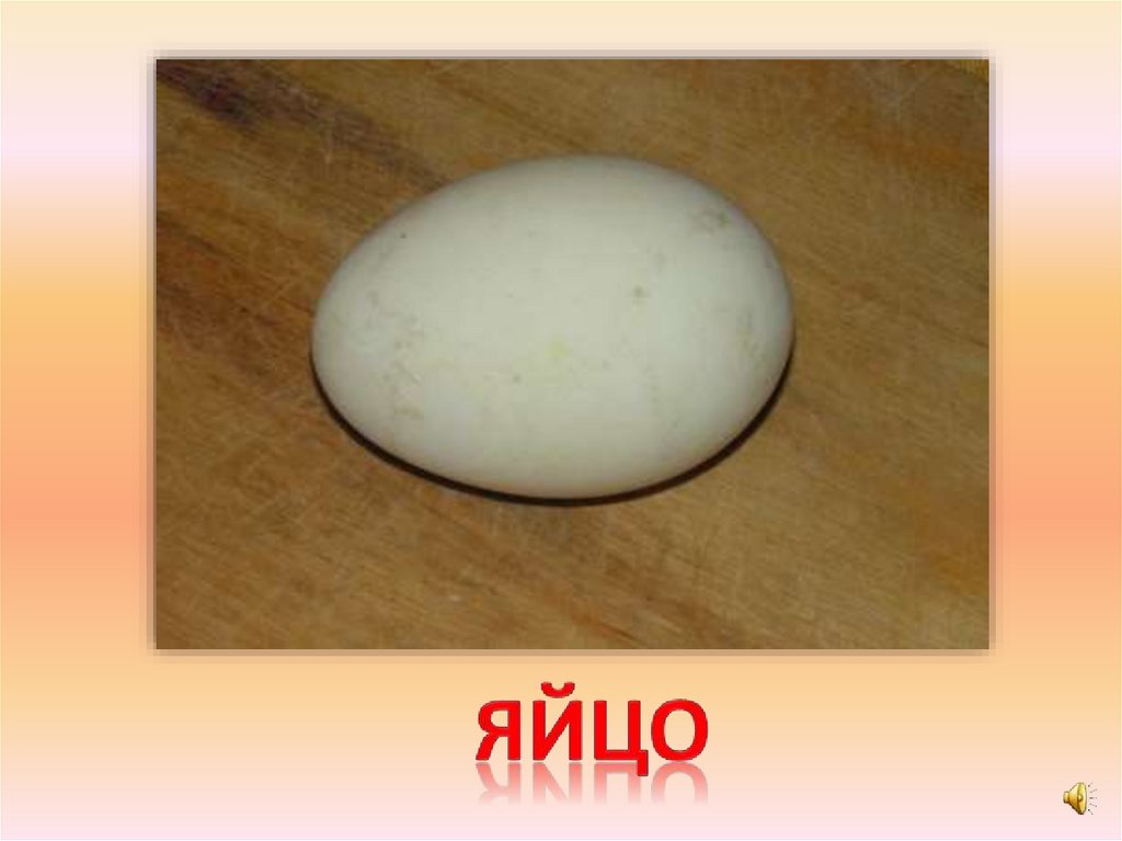 яйцо