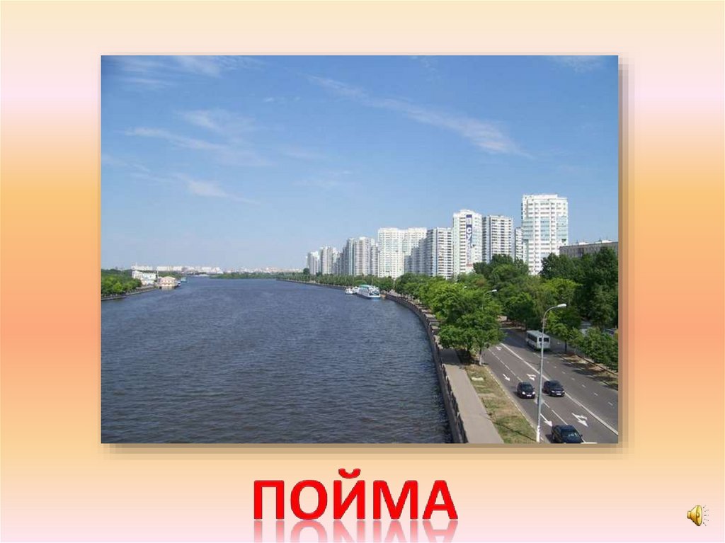 пойма