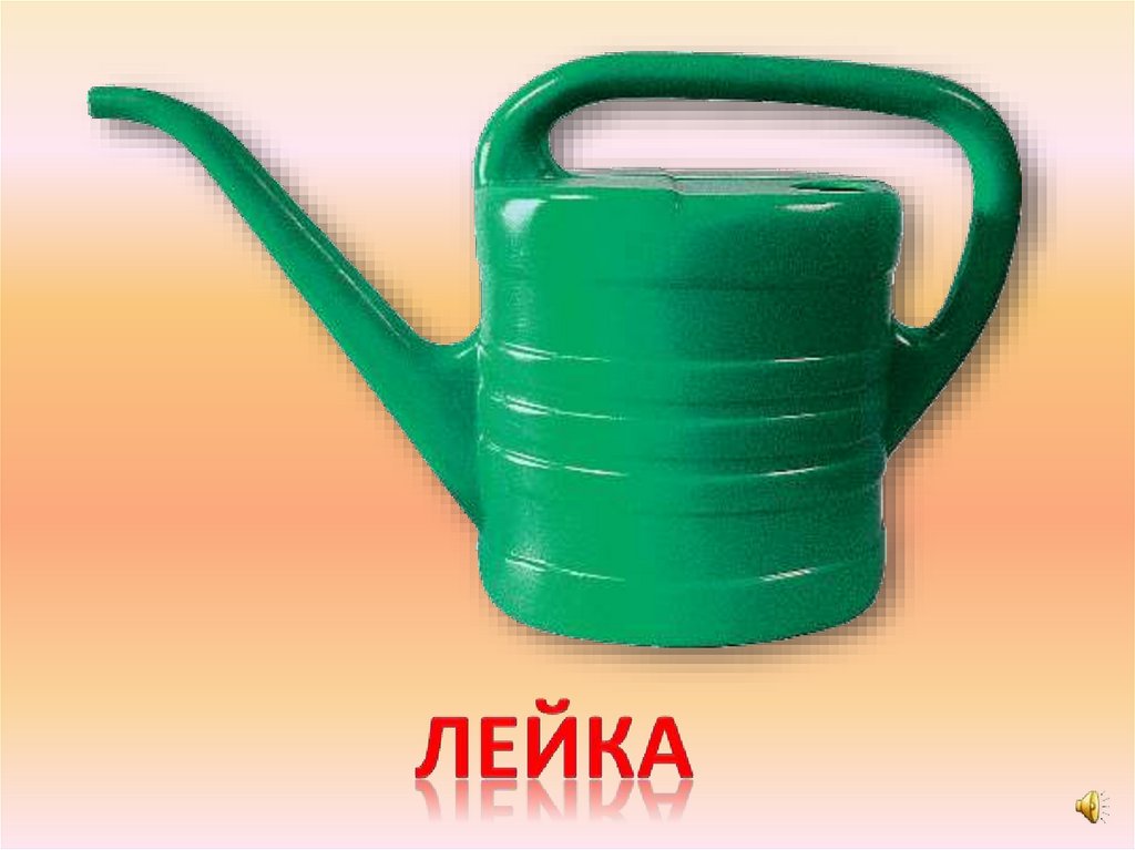 лейка