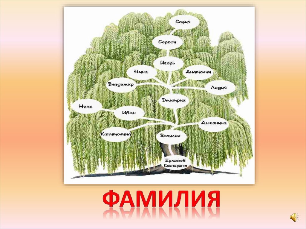 фамилия