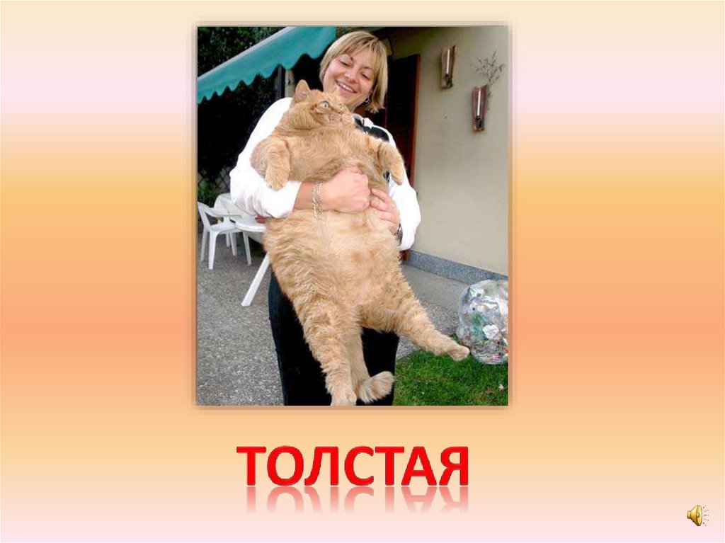 толстая