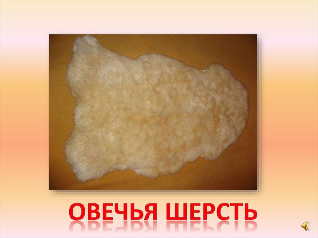 Овечья шерсть