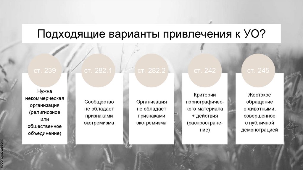 Подходящие варианты привлечения к УО?